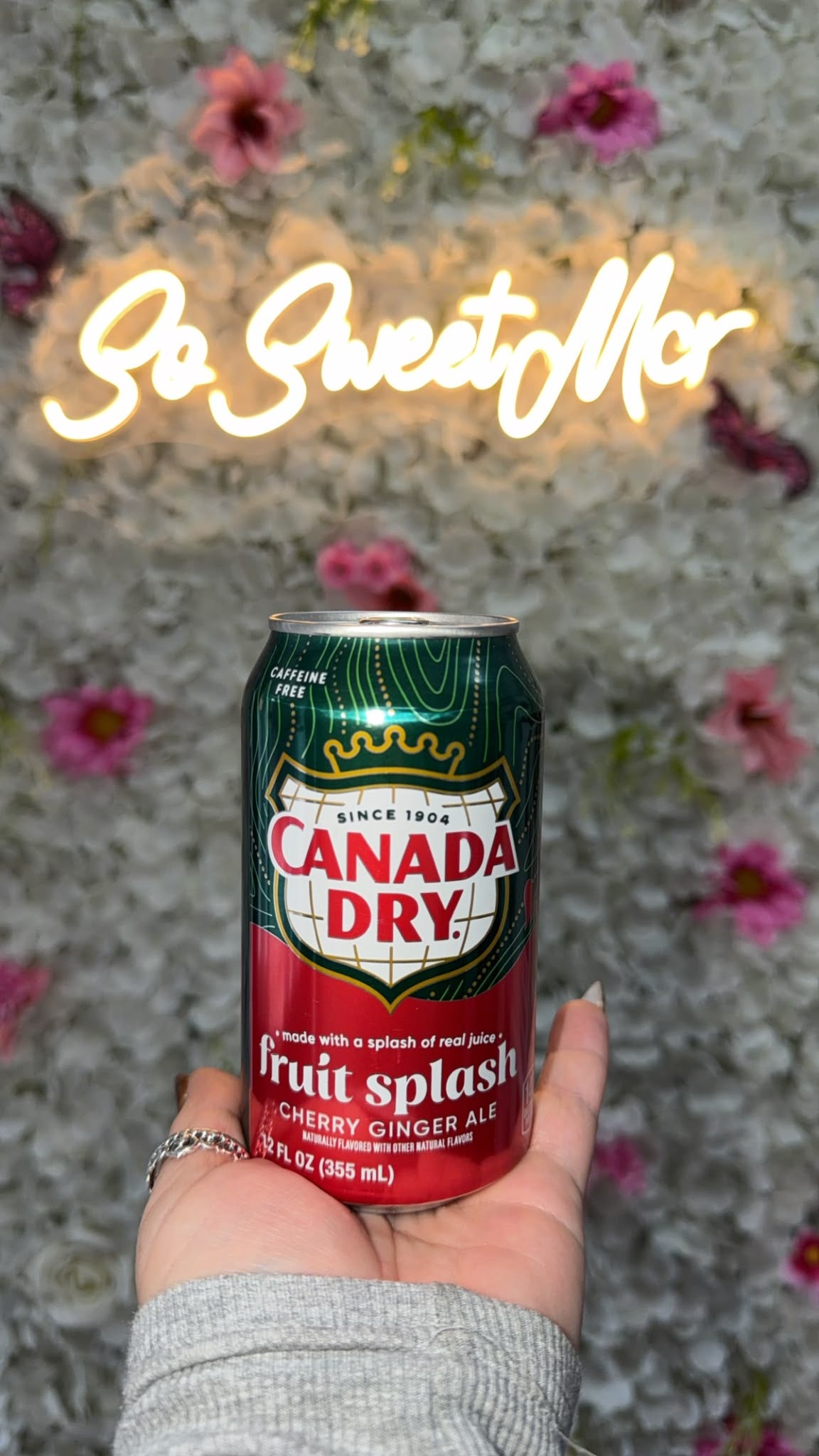 CANADA DRY CHERRY FRUIT SPLASH GINGER ALE 355ML (CAN)