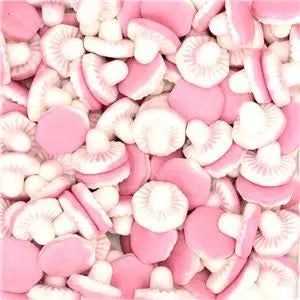 Giant Mushrooms 100g